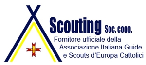 ScoutingFSE